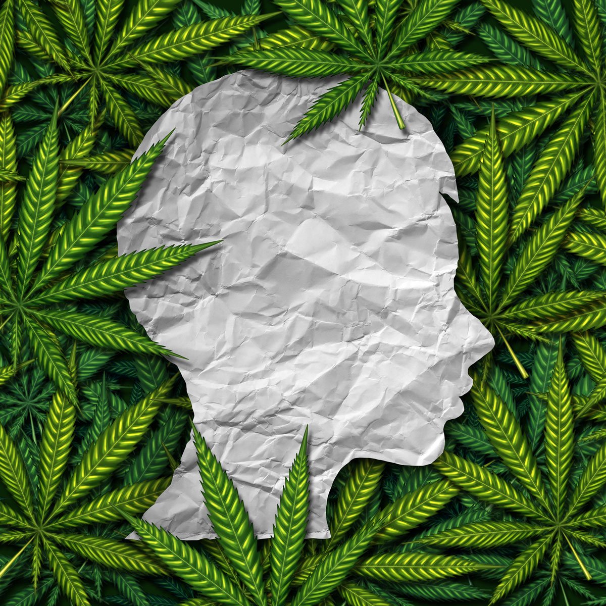 Cannabis and you illlustration